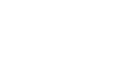 SENEC_Logo_White