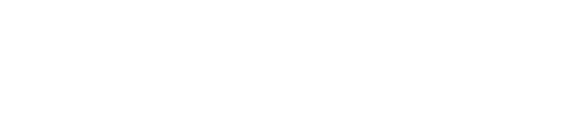 Solarmeisterei_Logo_white